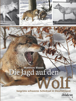 cover image of Die Jagd auf den Wolf